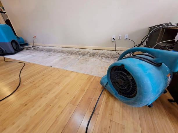 Professional Water Damage Repair technician working in Grapevine, TX